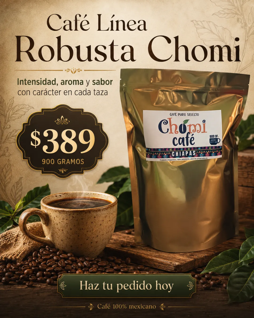 Chomi Robusta GDE